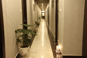 Bright, airy hallway in the clinic decorated with calming artwork and plants