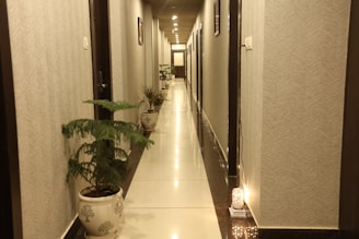 A hallway floor shining after a thorough cleaning, with soft green plants adding a fresh touch.