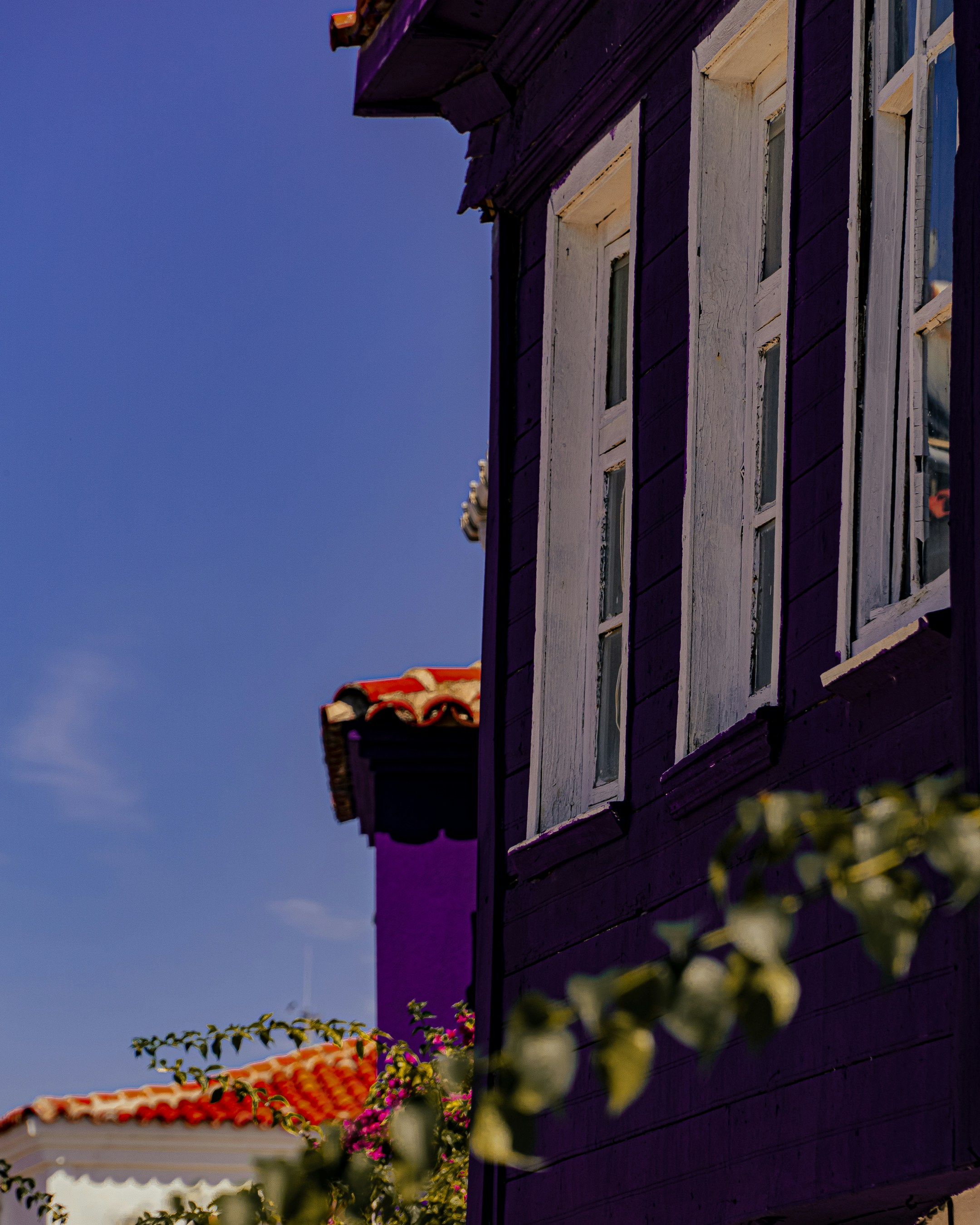 Photo by tugcenilgursoy