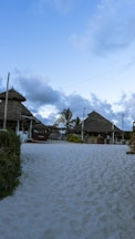 a sandy path leading to a beach with thatched huts