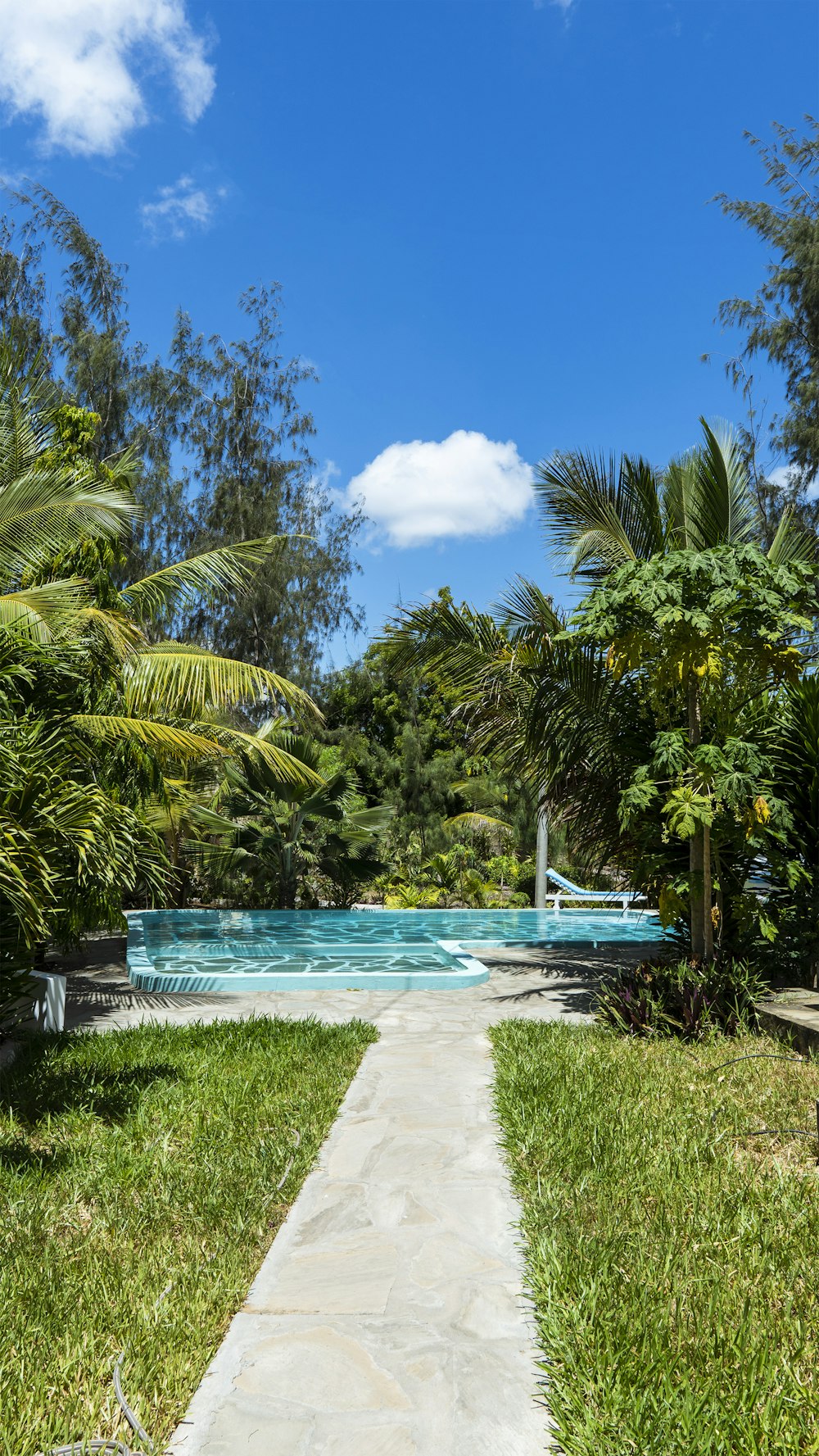 a walkway leading to a pool surrounded by trees