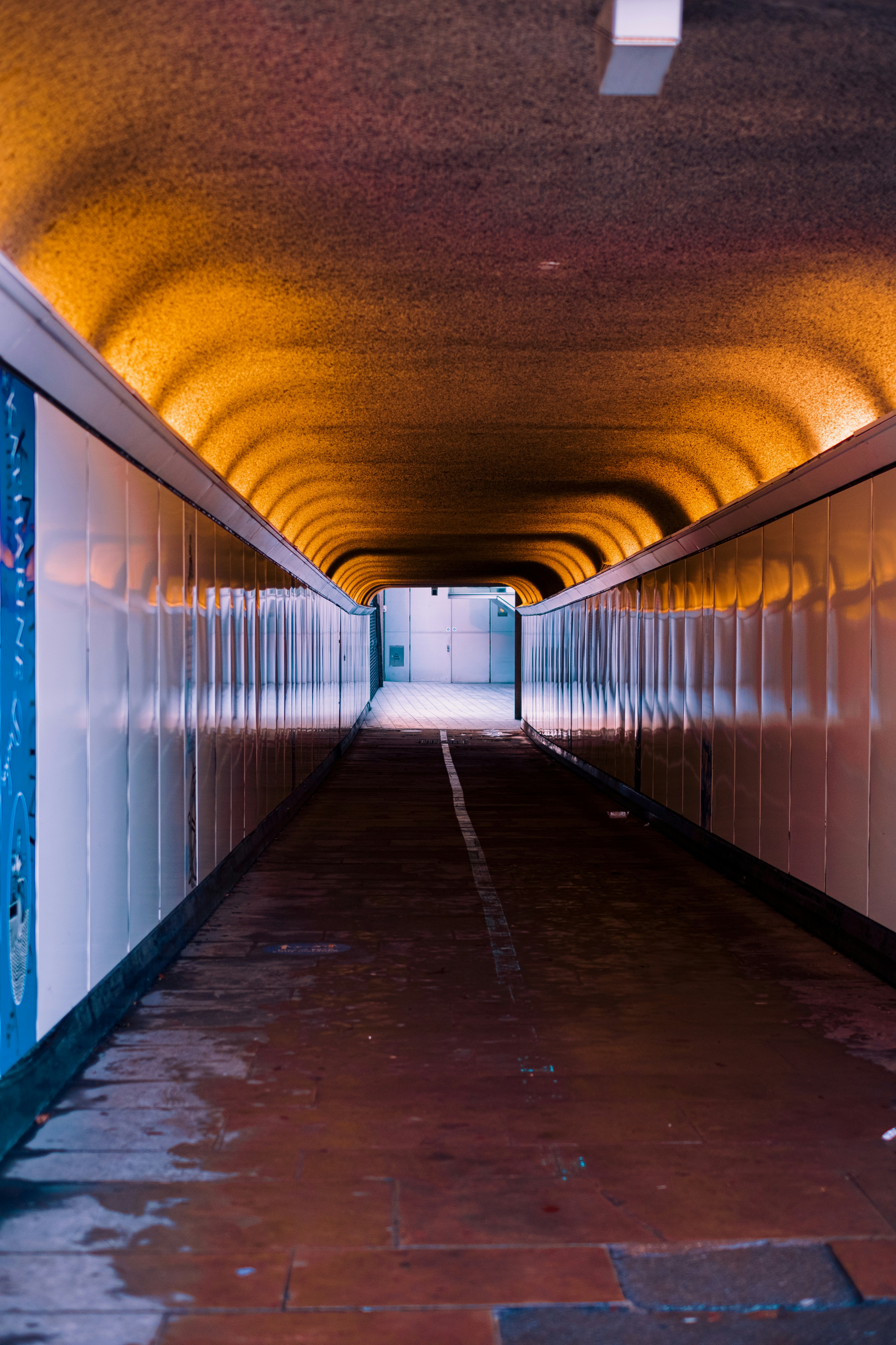 Photo by baguette_knight