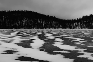 A mysterious frozen lake surrounded by pine trees under a hazy sky.