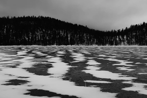 A mysterious frozen lake surrounded by pine trees under a hazy sky.