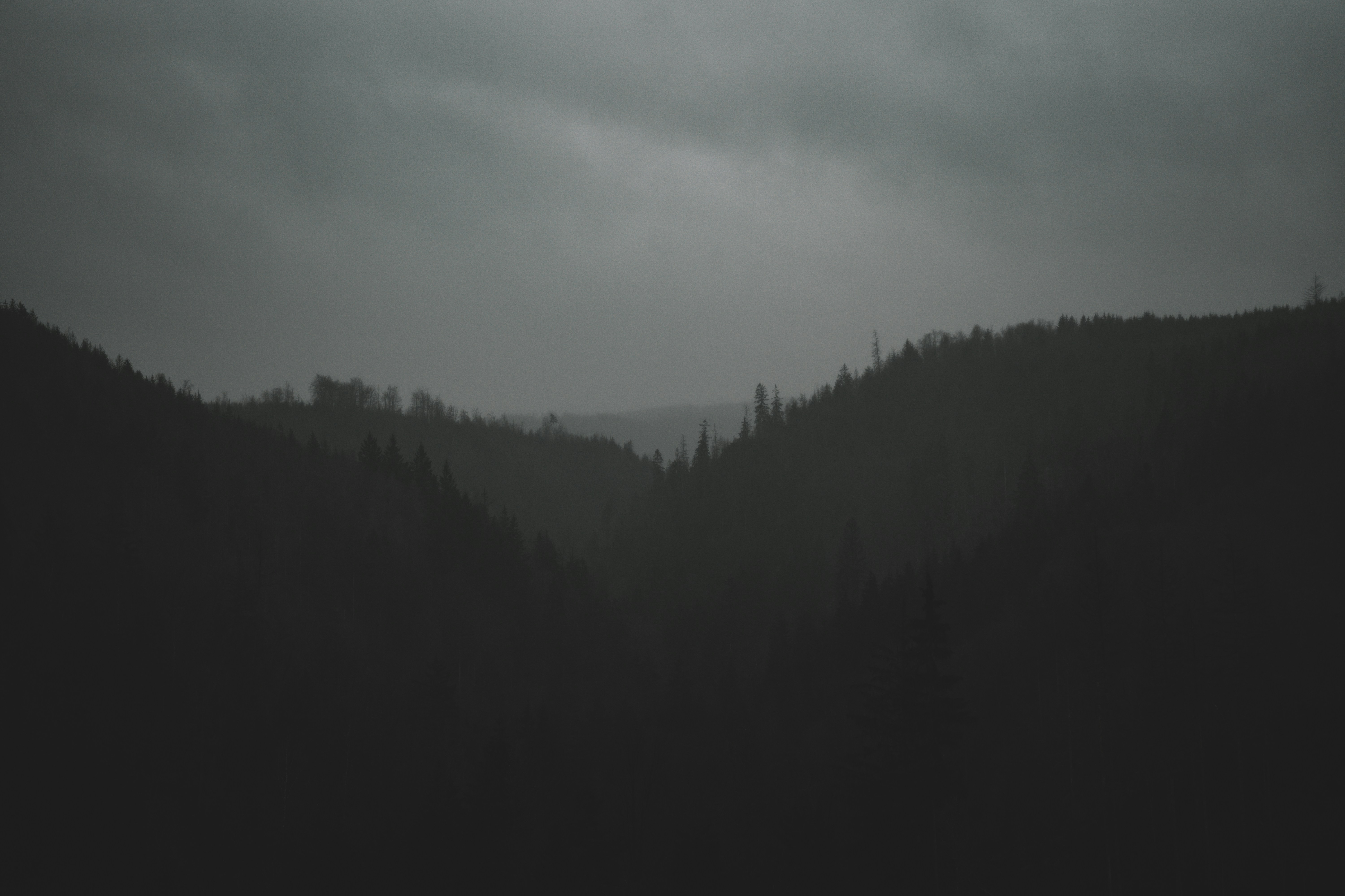 Photo by julianhochgesang