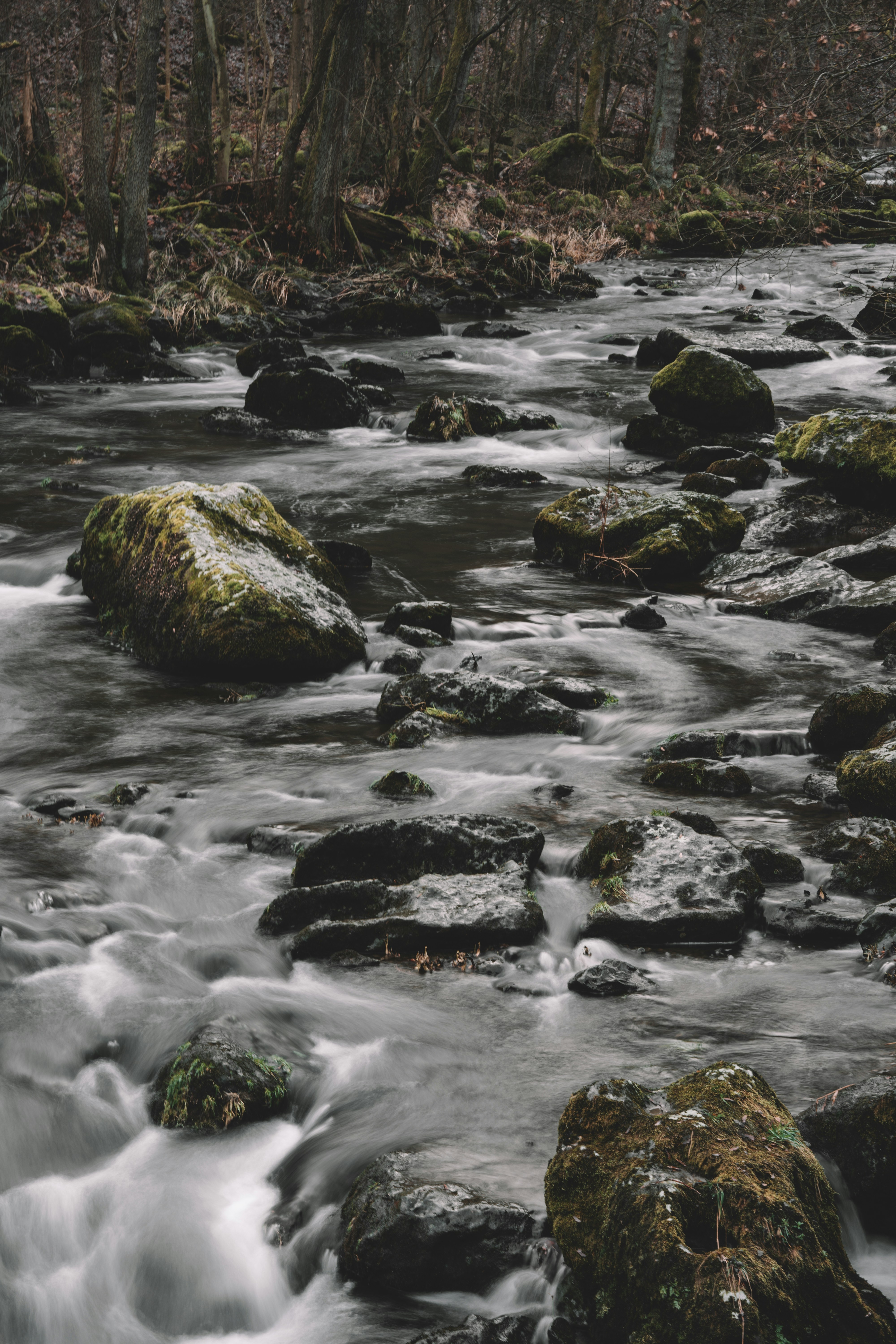 Photo by julianhochgesang