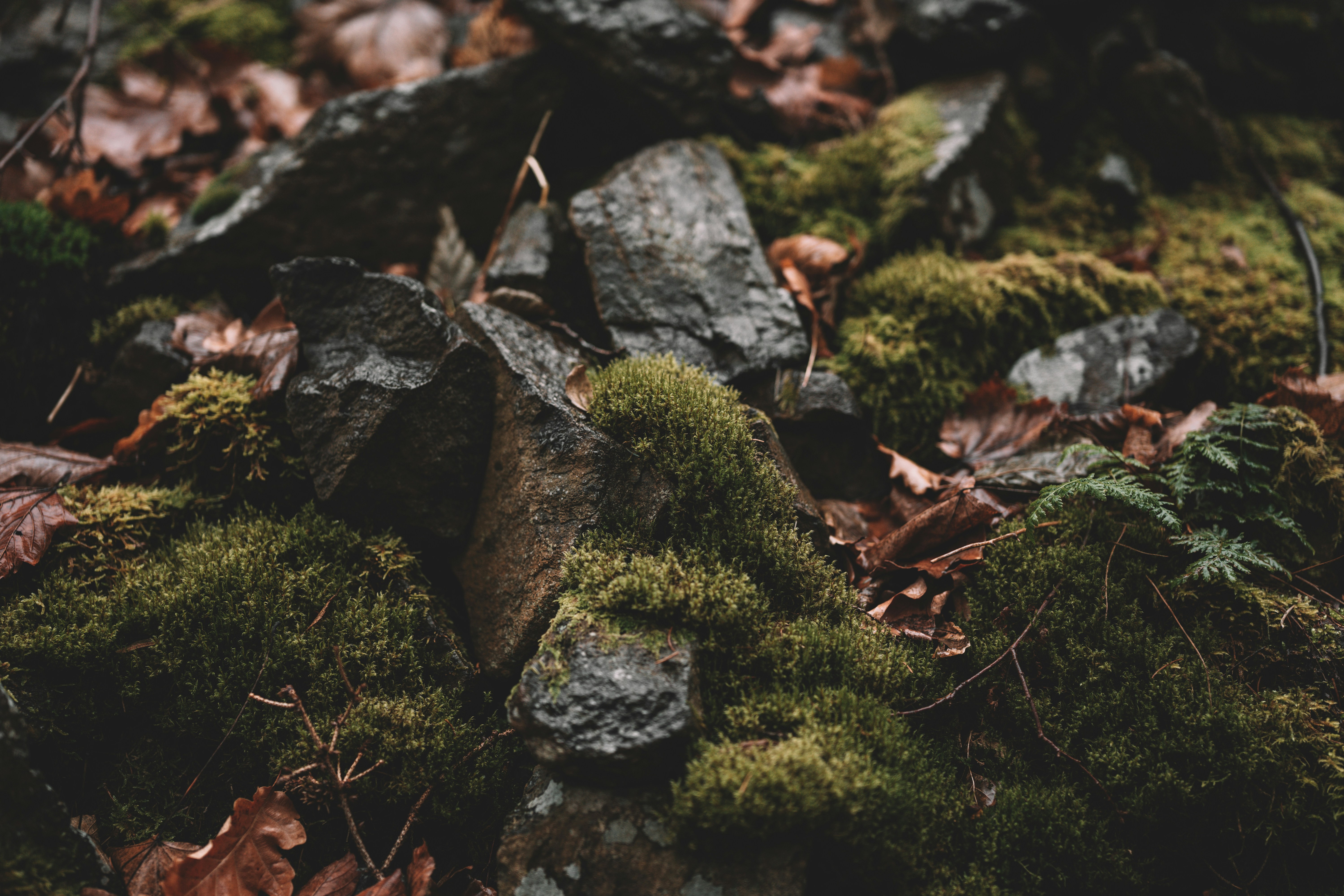 Photo by julianhochgesang