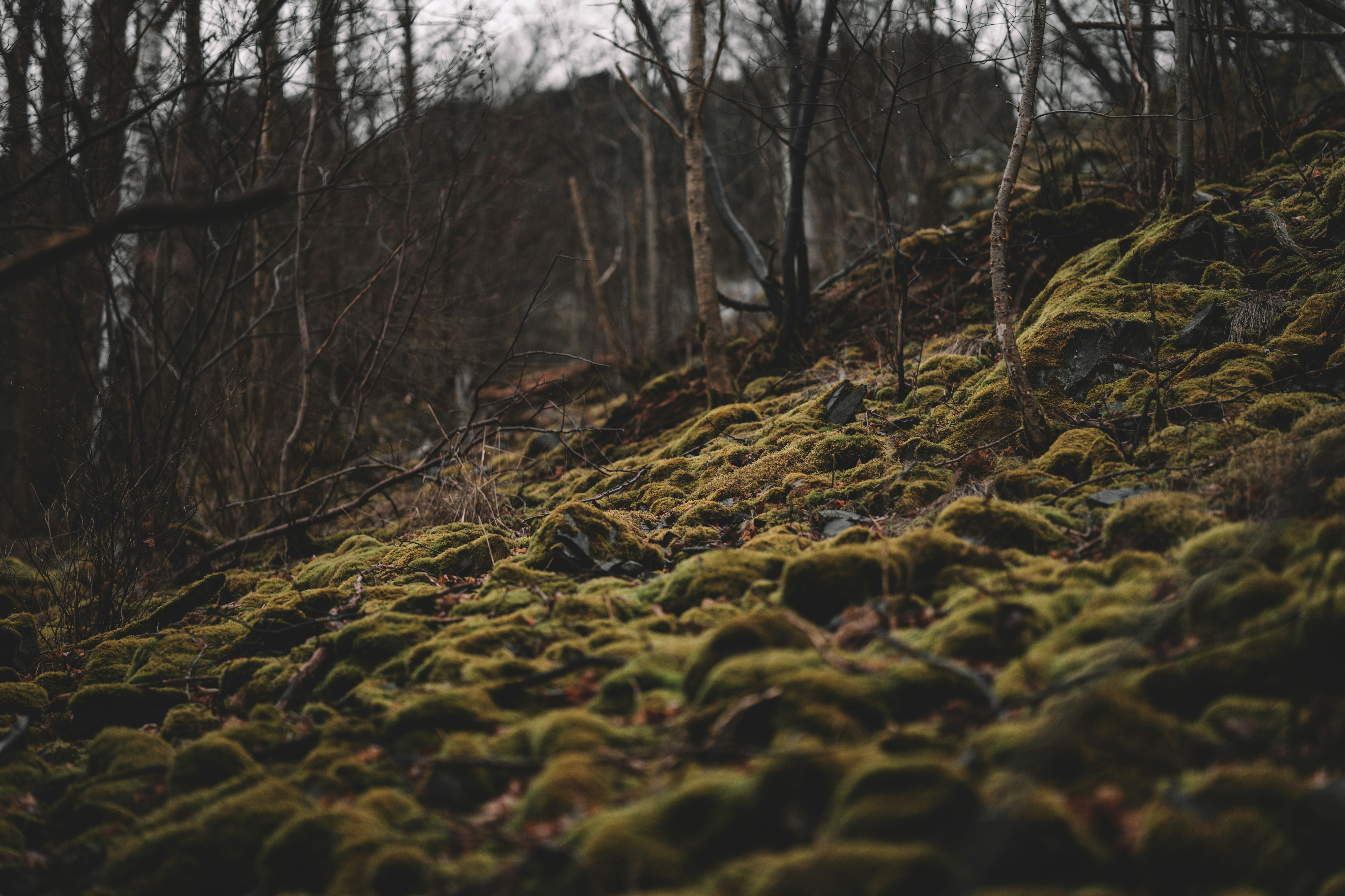 Photo by julianhochgesang