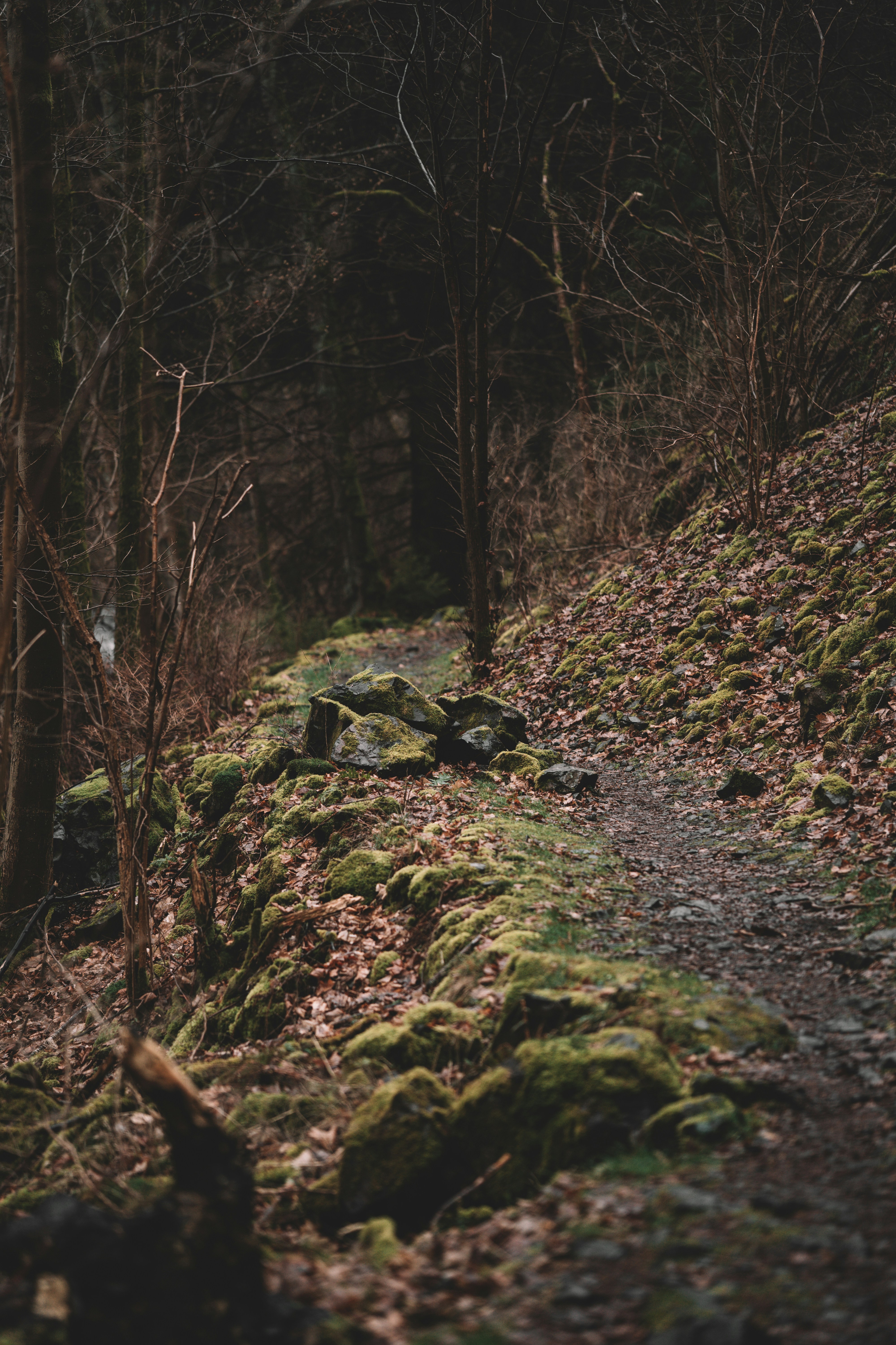 Photo by julianhochgesang