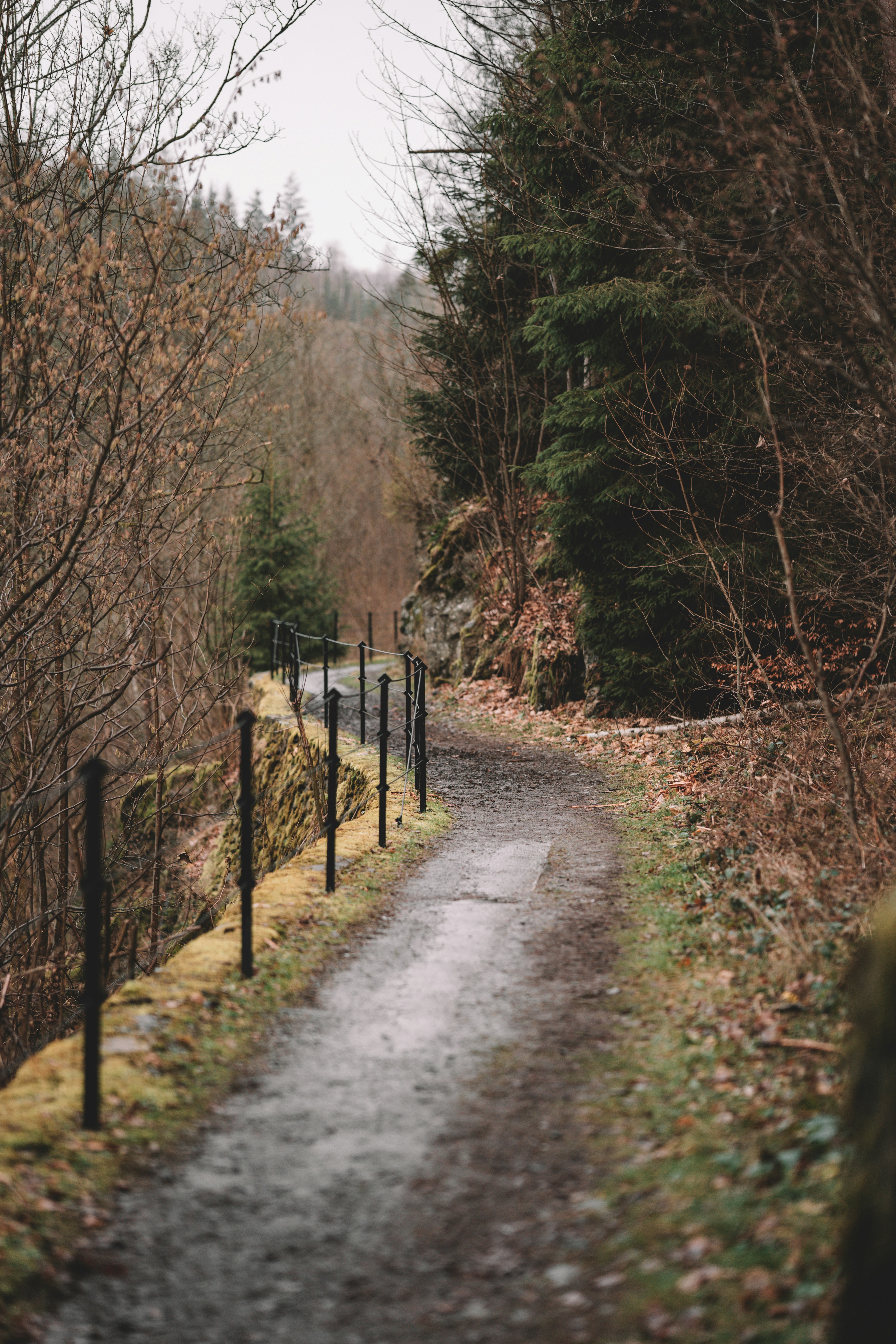 Photo by julianhochgesang