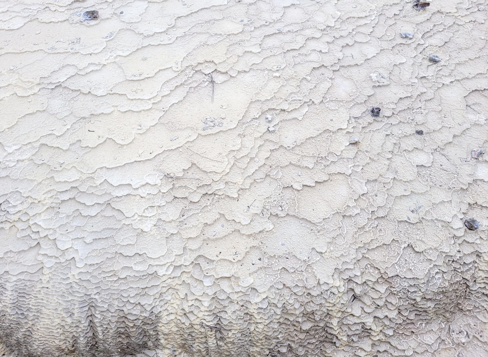 a white stucco wall with some trees in the background