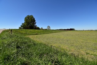 a grassy field with a road in the distance