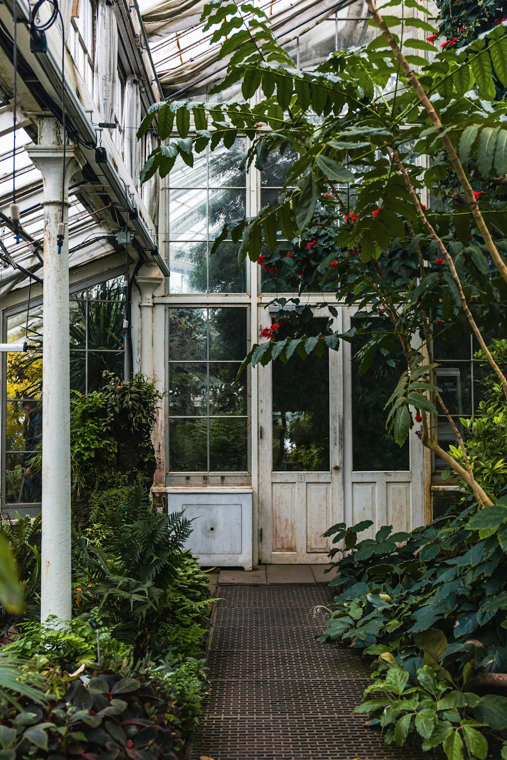 a white door in a green house surrounded by greenery