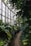 A lush, green indoor garden with a variety of large, leafy plants lining a curved brick pathway. Tall windows on the side allow natural light to stream in, casting soft shadows and highlighting the vibrant foliage.