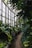A lush, green indoor garden with a variety of large, leafy plants lining a curved brick pathway. Tall windows on the side allow natural light to stream in, casting soft shadows and highlighting the vibrant foliage.