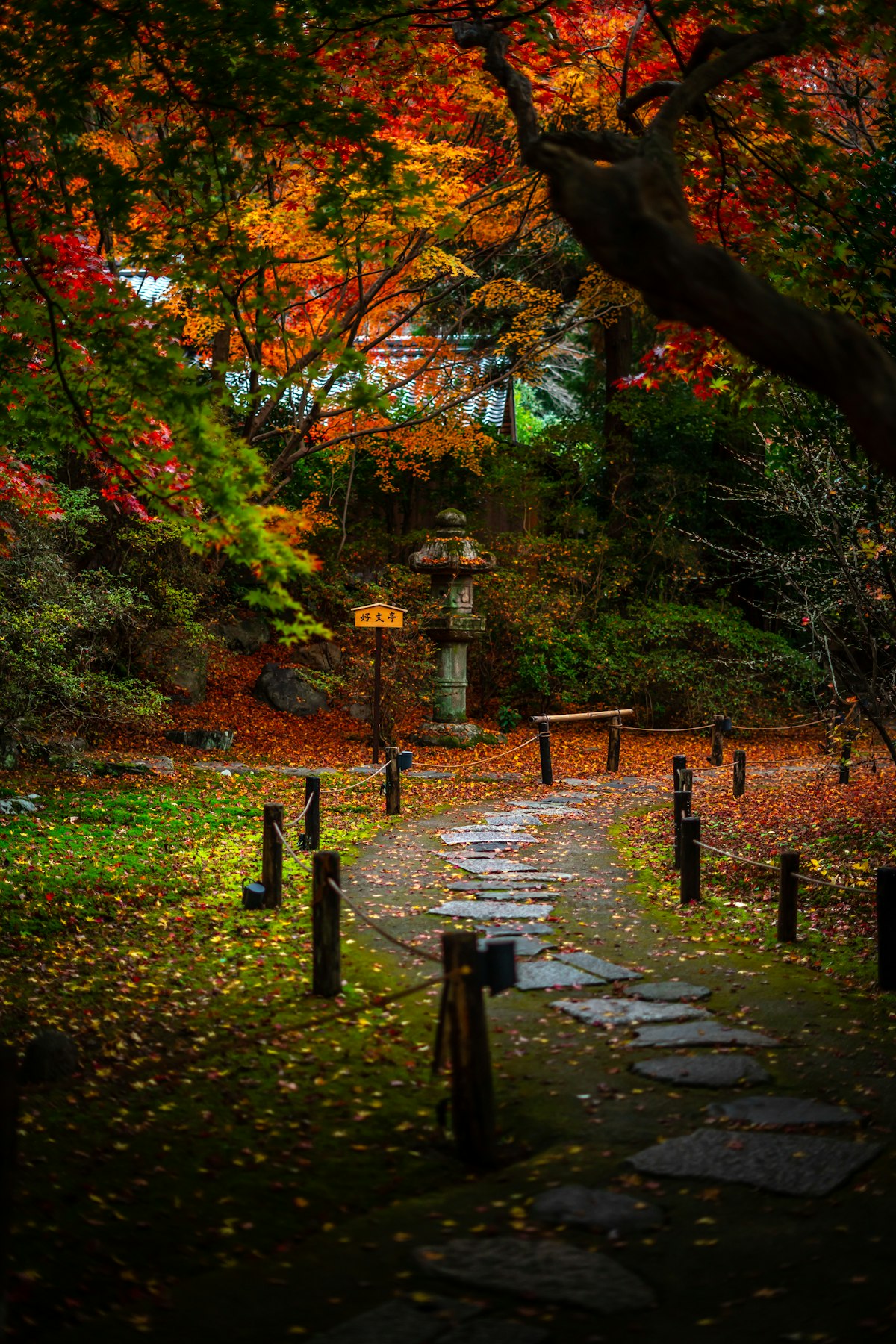 Kyoto September — forested temple pathway with early autumn colours beginning to show