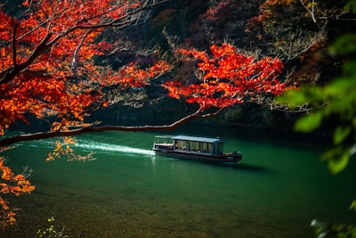 a boat traveling down a river surrounded by trees