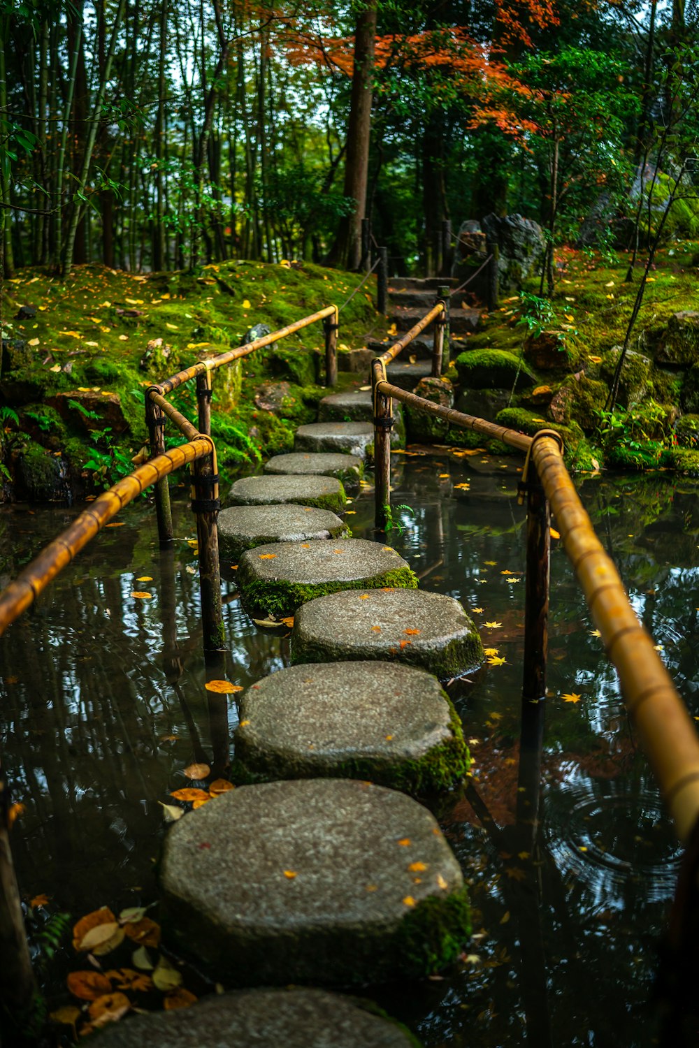 a path made of stepping stones in a forest