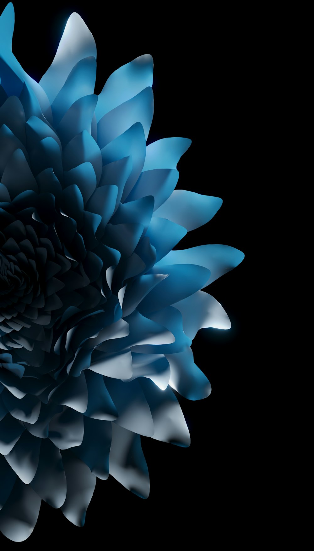 a large blue flower on a black background