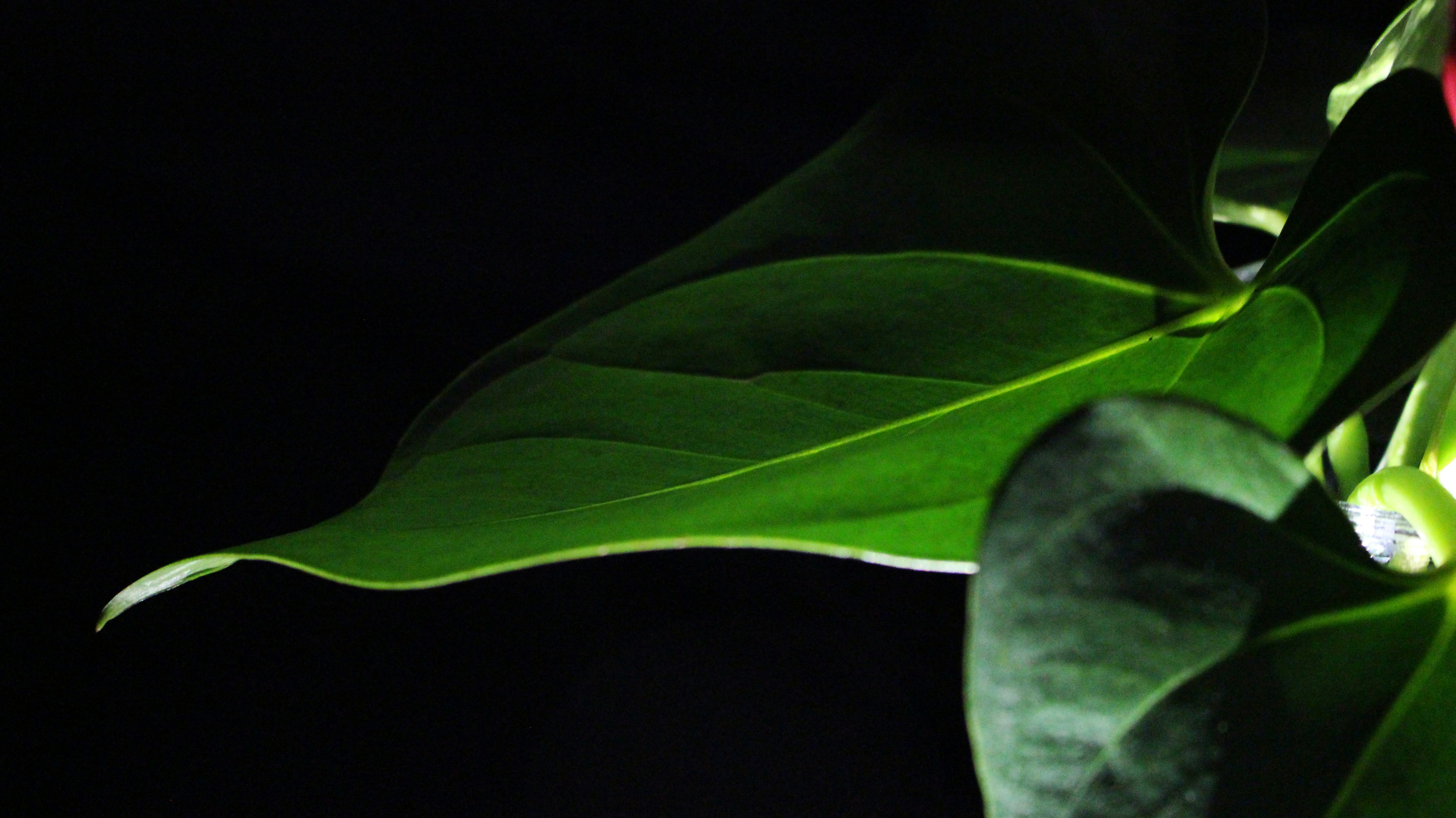 Photo by sara_mobasheri