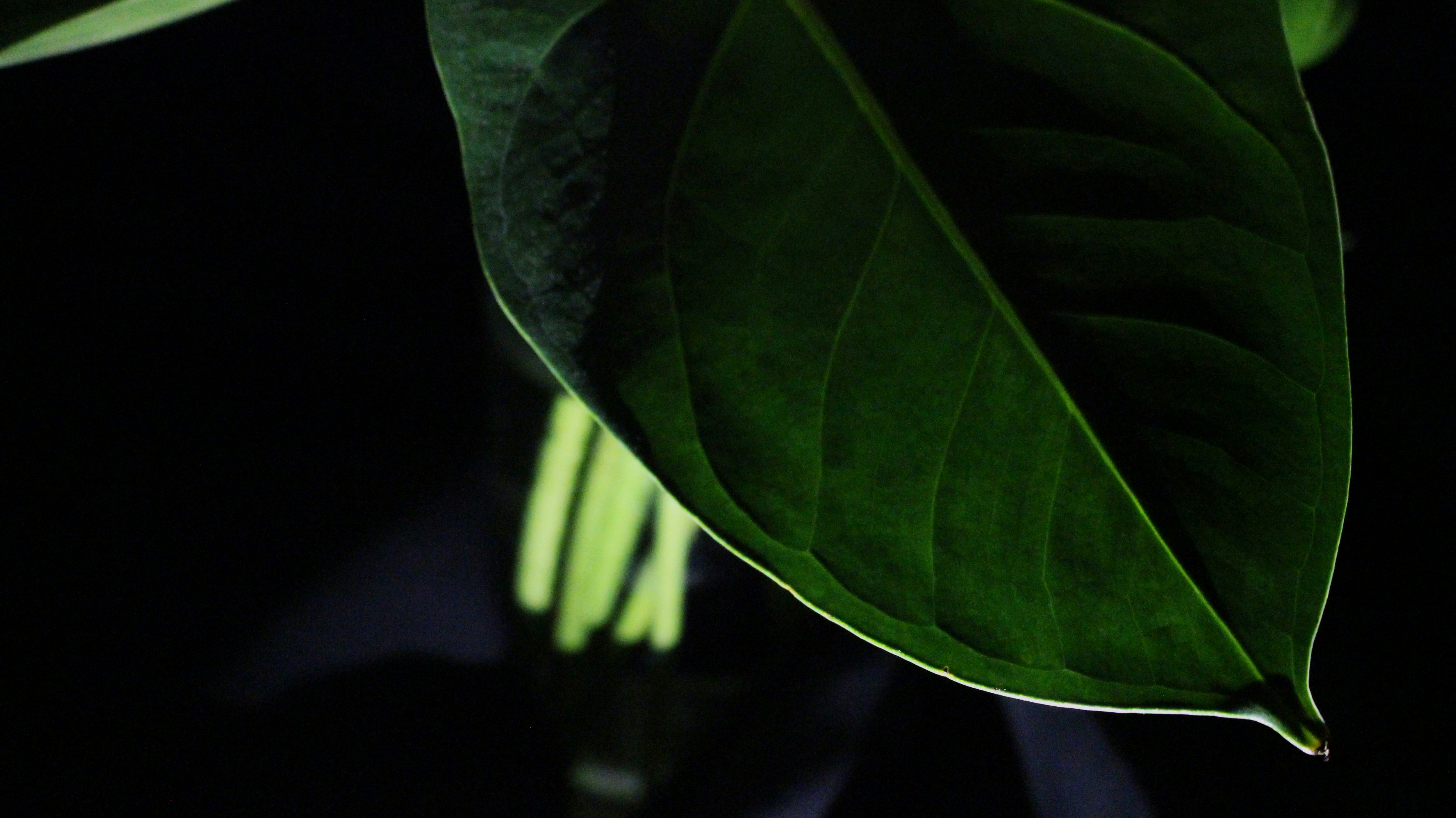 Photo by sara_mobasheri