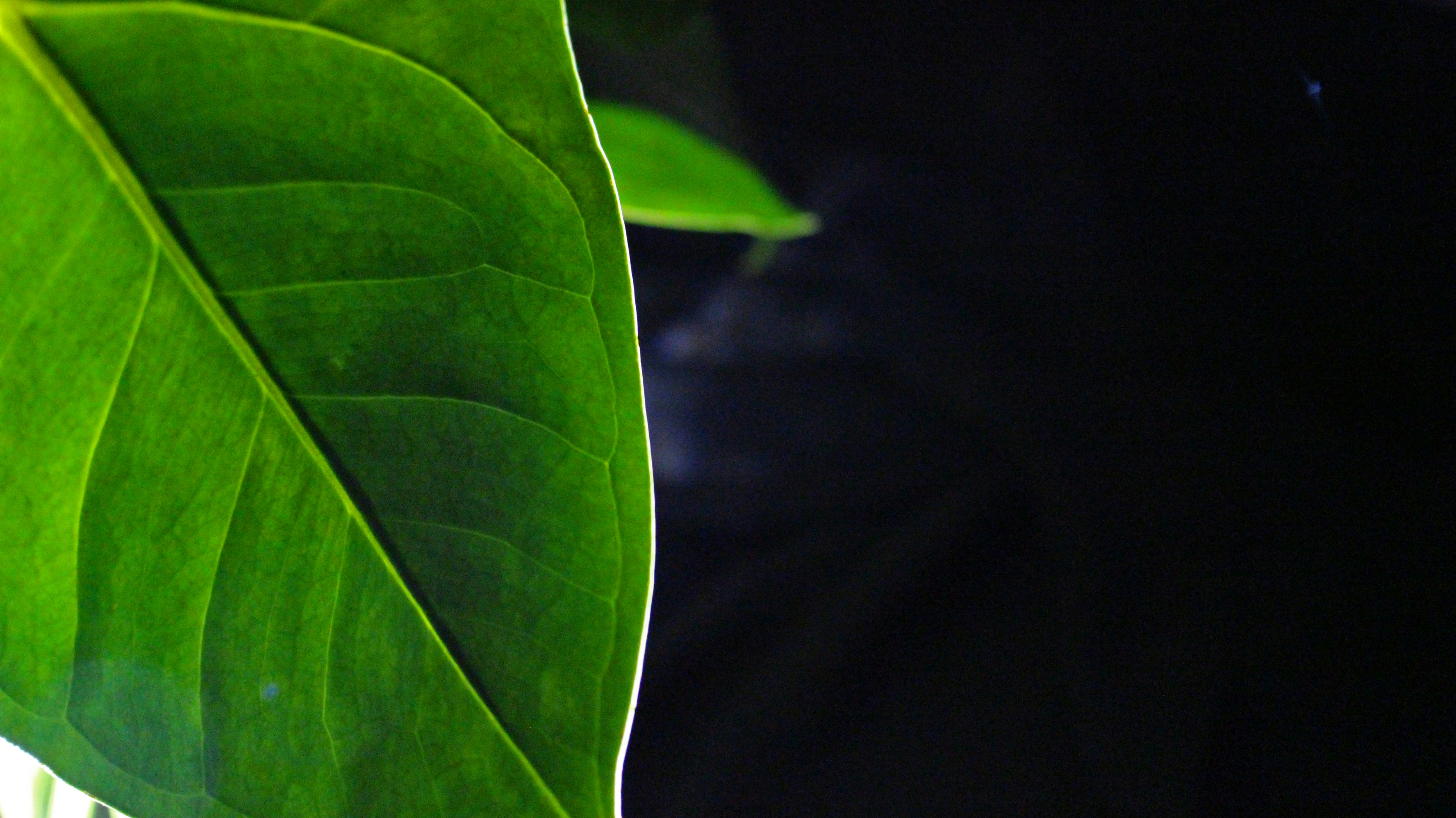 Photo by sara_mobasheri