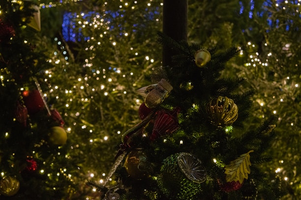 A beautifully decorated Christmas tree with twinkling lights and festive ornaments in the background.