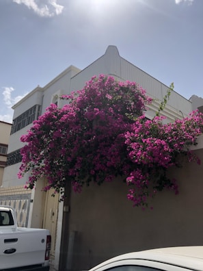 A cheerful family unloading luggage from a white car in front of a colorful Caribbean-style house.