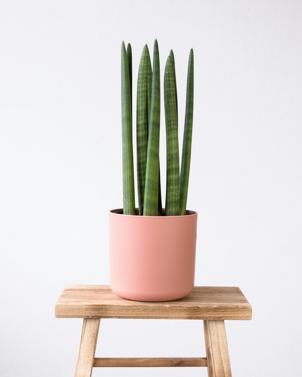 a pink potted plant sitting on top of a wooden stool