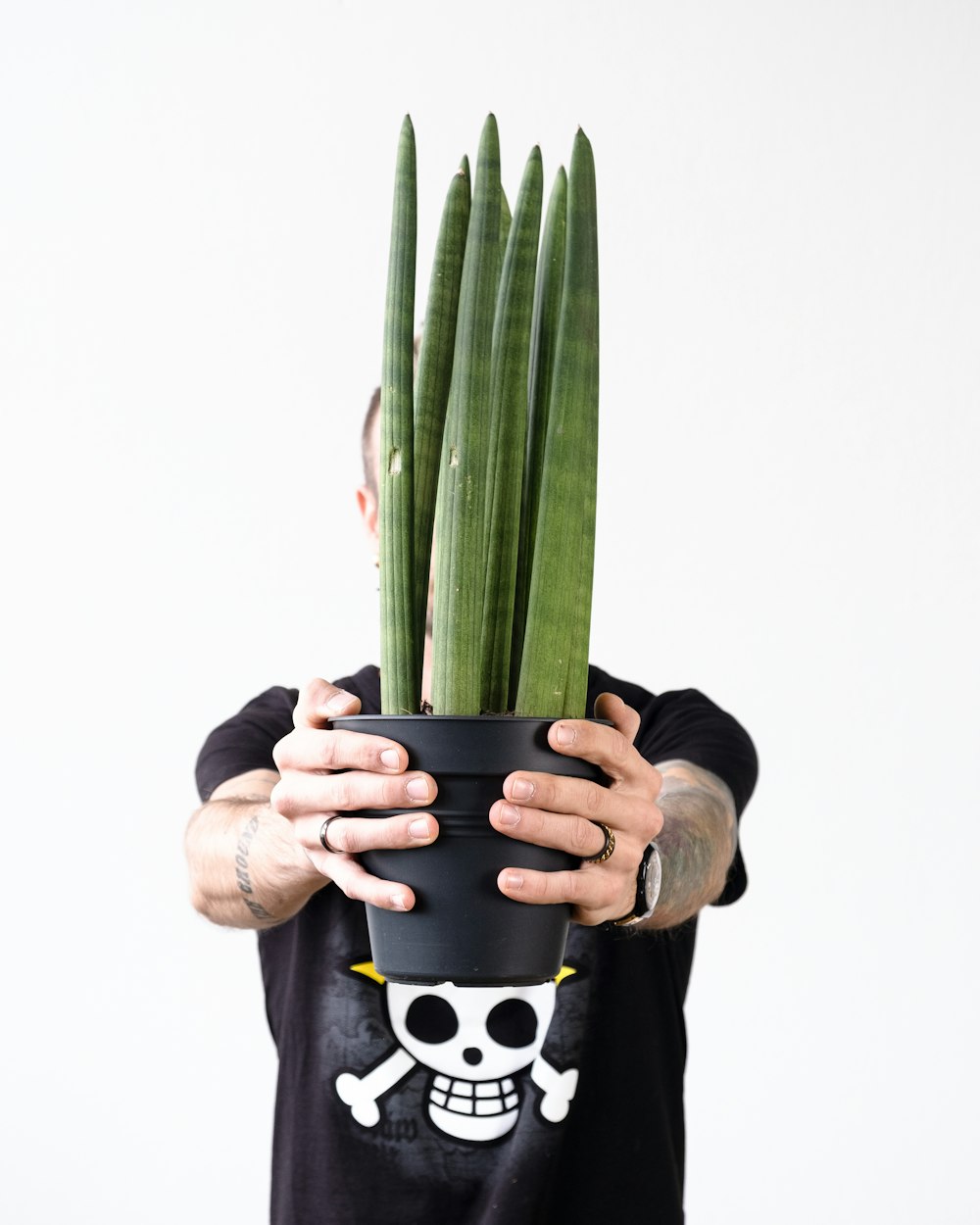 a person holding a potted plant with a skull on it