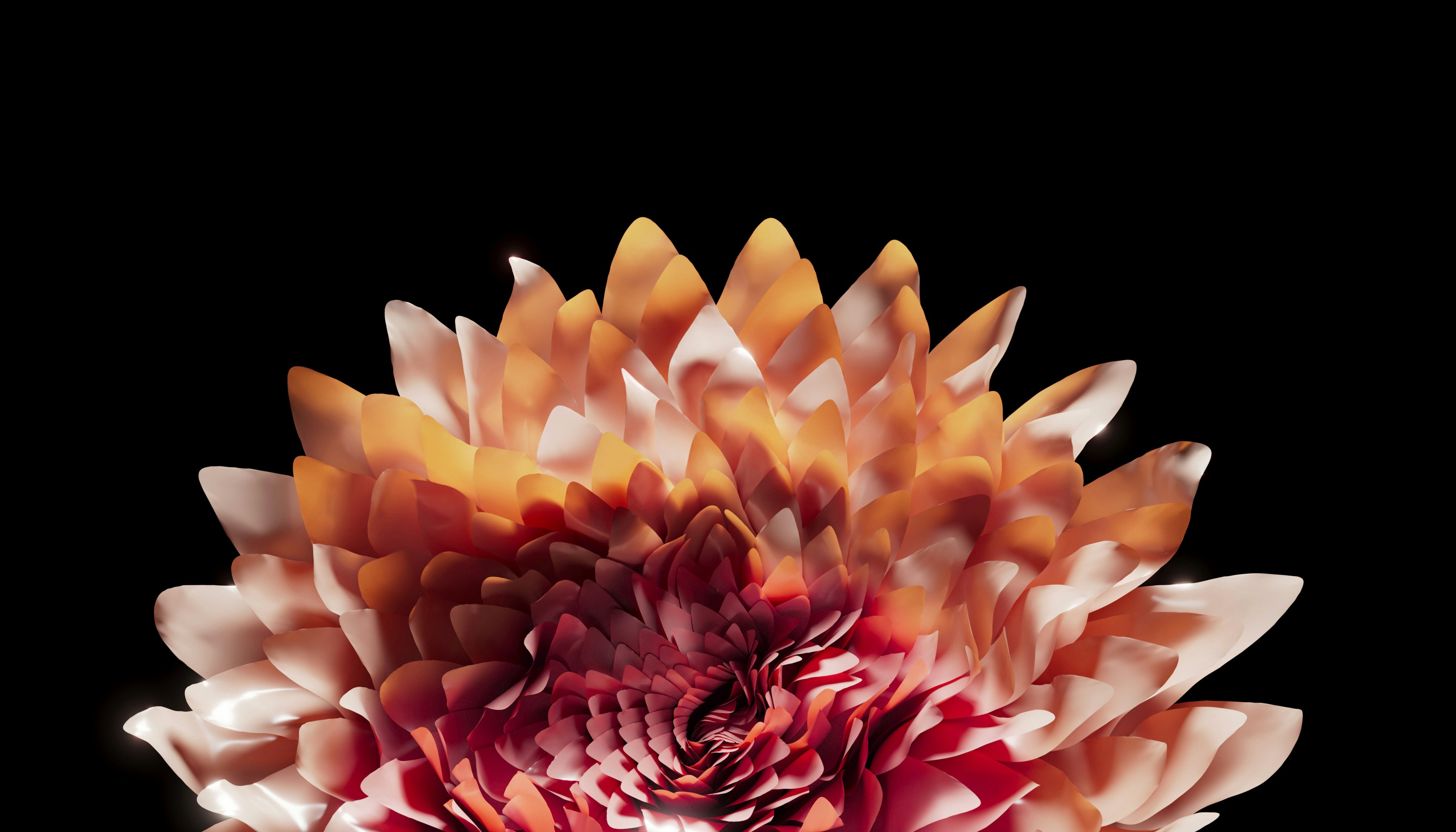 Fleur de résistance