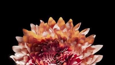 A digitally created flower with layered petals displayed against a black background. The petals vary in shades of orange, pink, and white, creating a vibrant and intricate pattern.