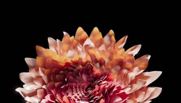 A digitally created flower with layered petals displayed against a black background. The petals vary in shades of orange, pink, and white, creating a vibrant and intricate pattern.