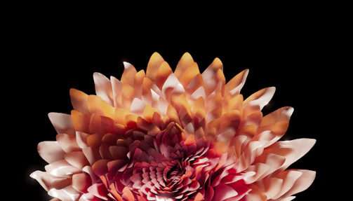 Close-up of a digitally created flower with intricate, glowing patterns.