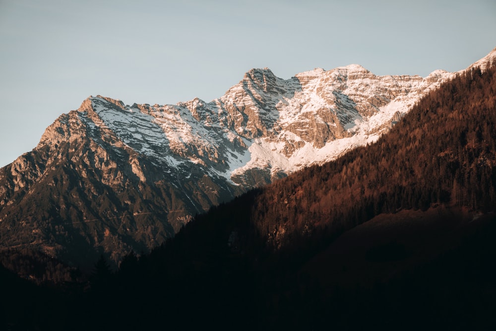 a snow covered mountain range with trees in the foreground