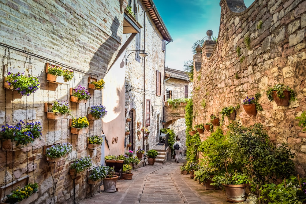 a cobblestone street lined with potted plants