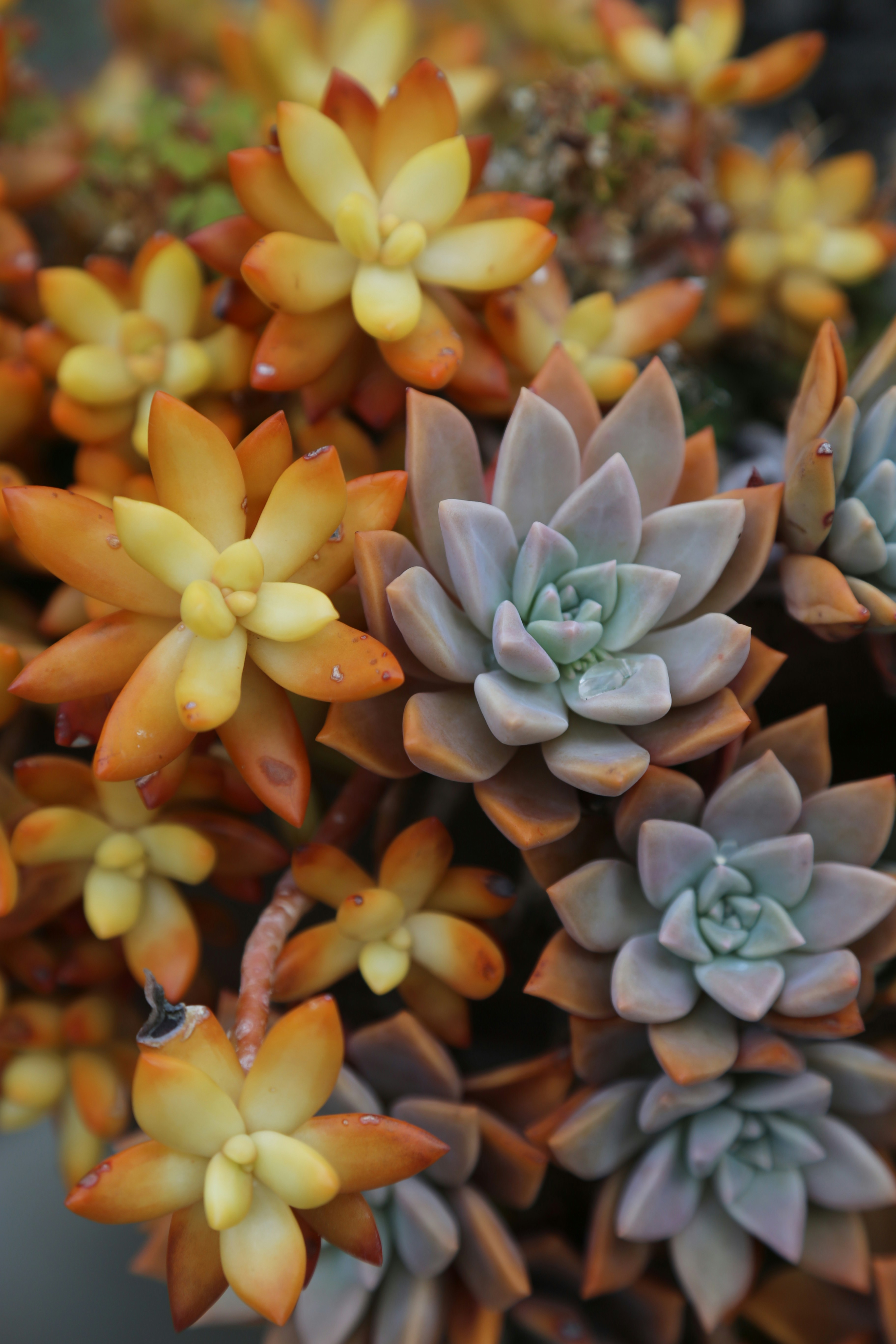 Photo by kelseyfarish