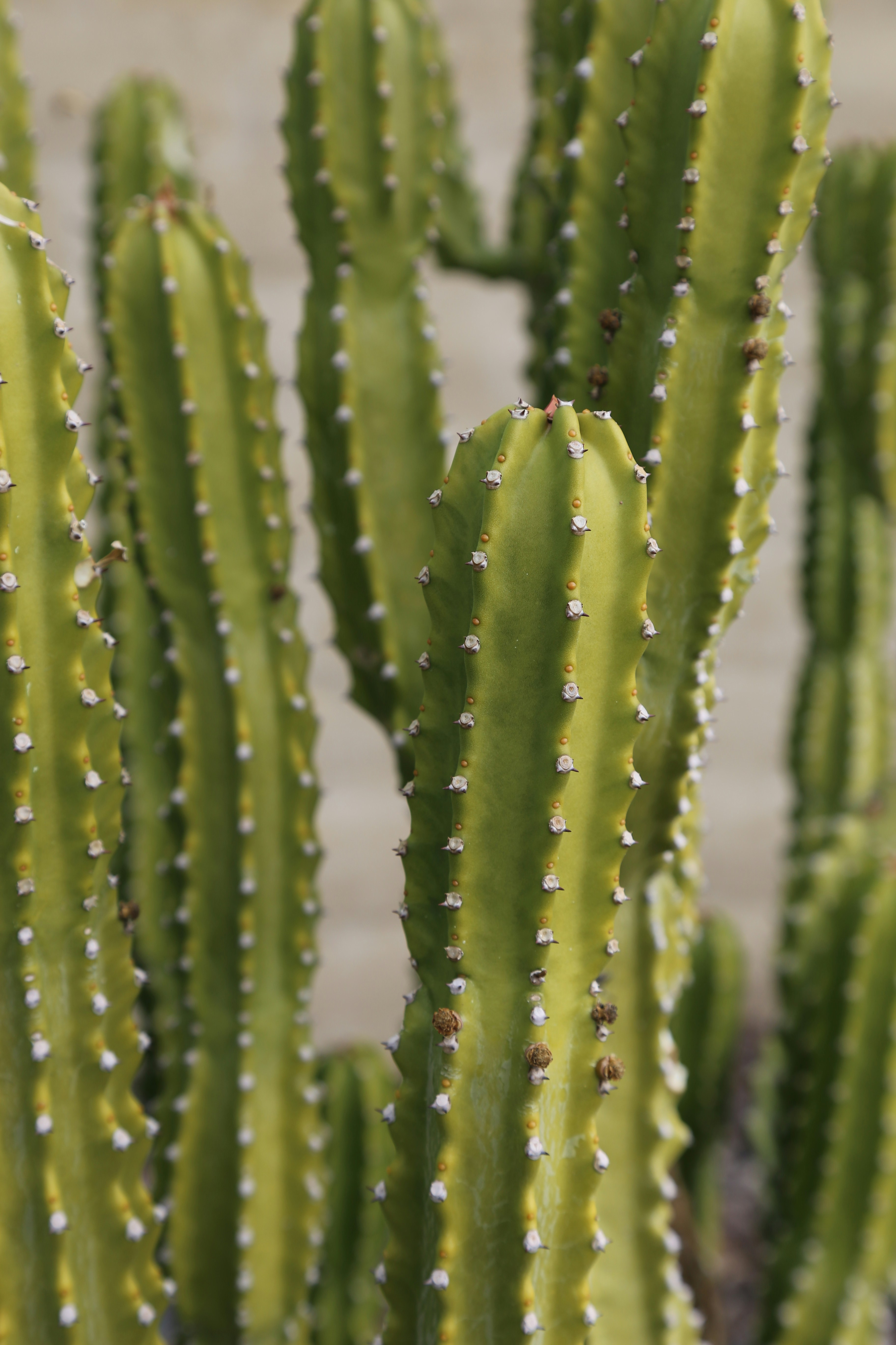 Photo by kelseyfarish