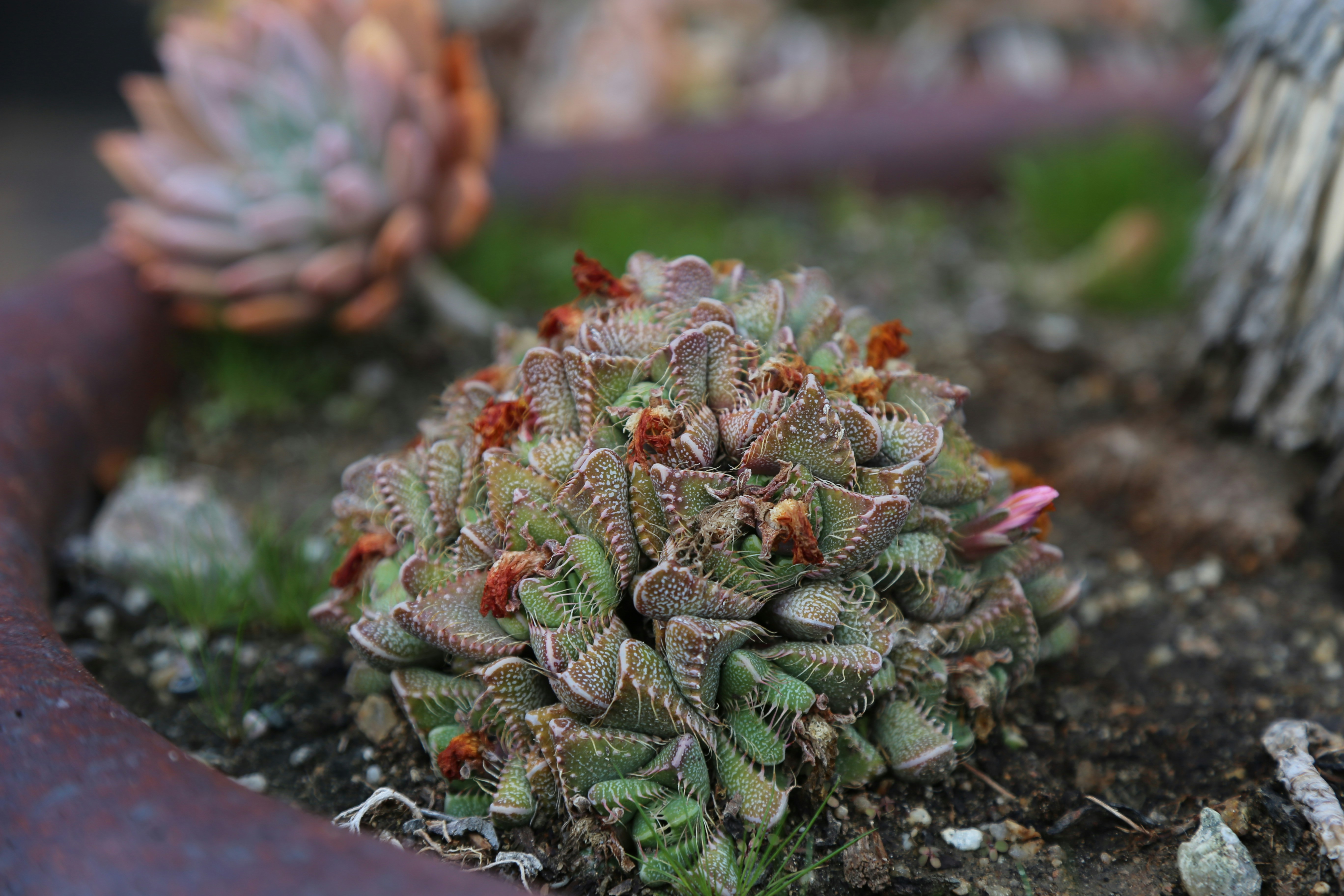 Photo by kelseyfarish