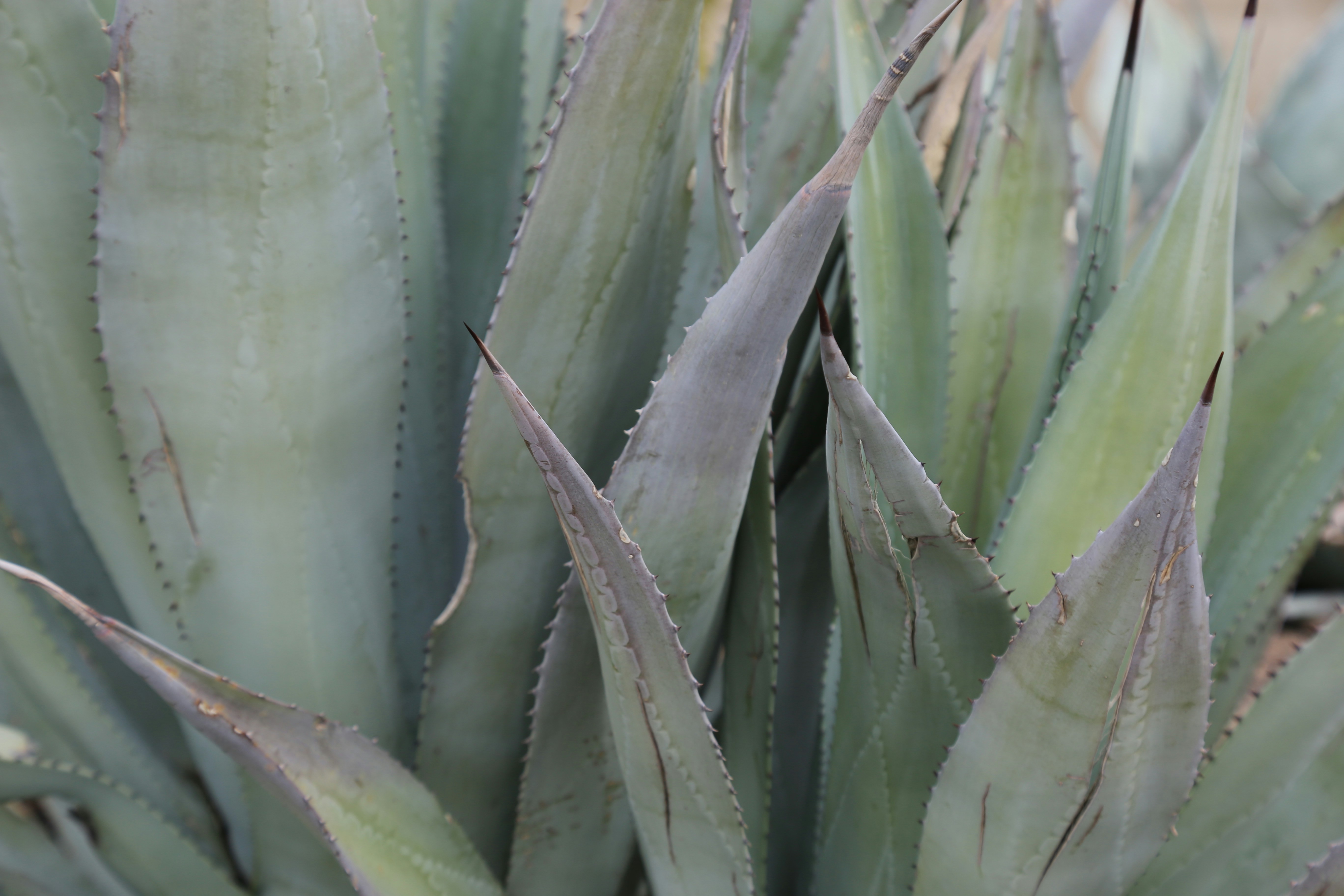 Photo by kelseyfarish