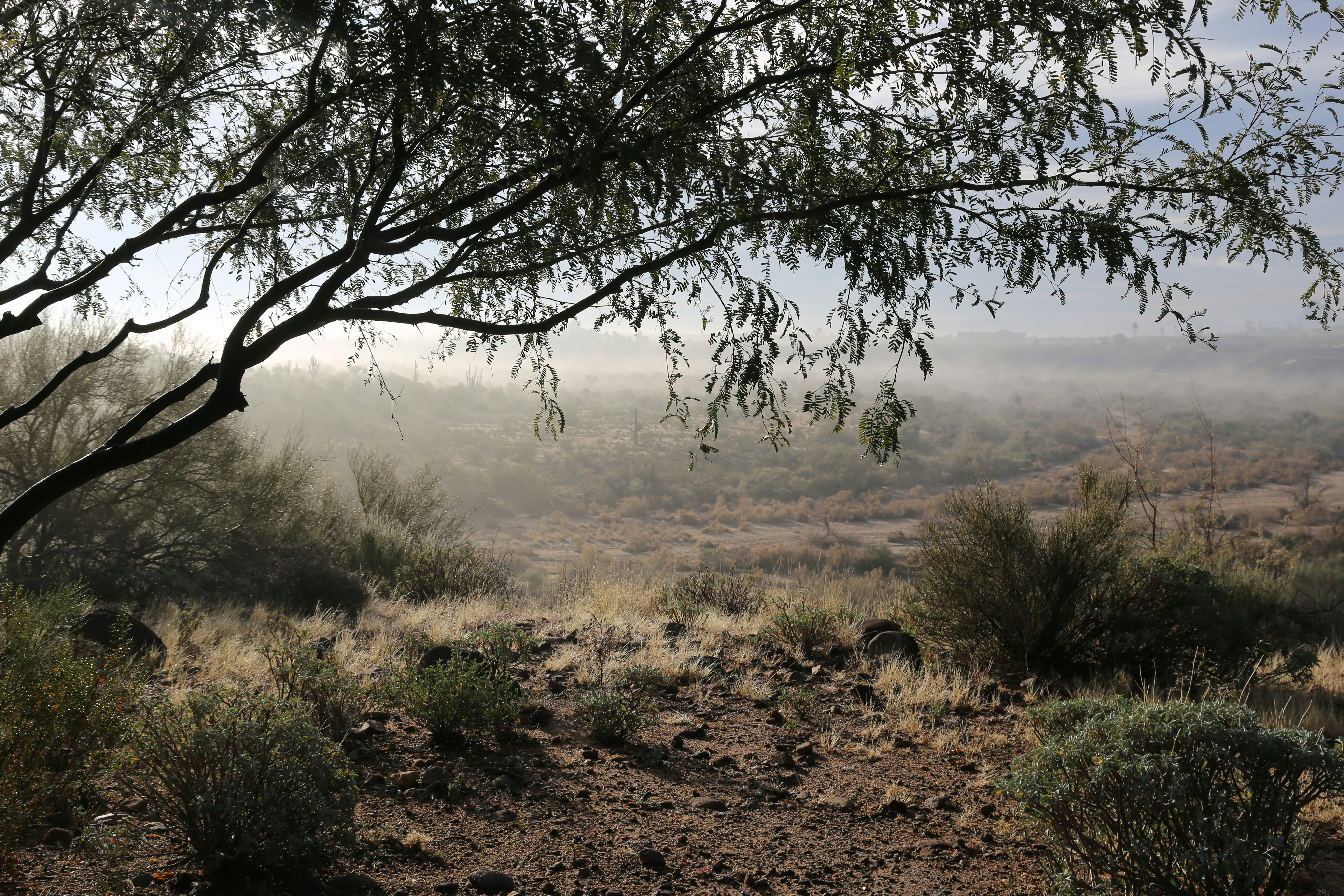 Photo by kelseyfarish