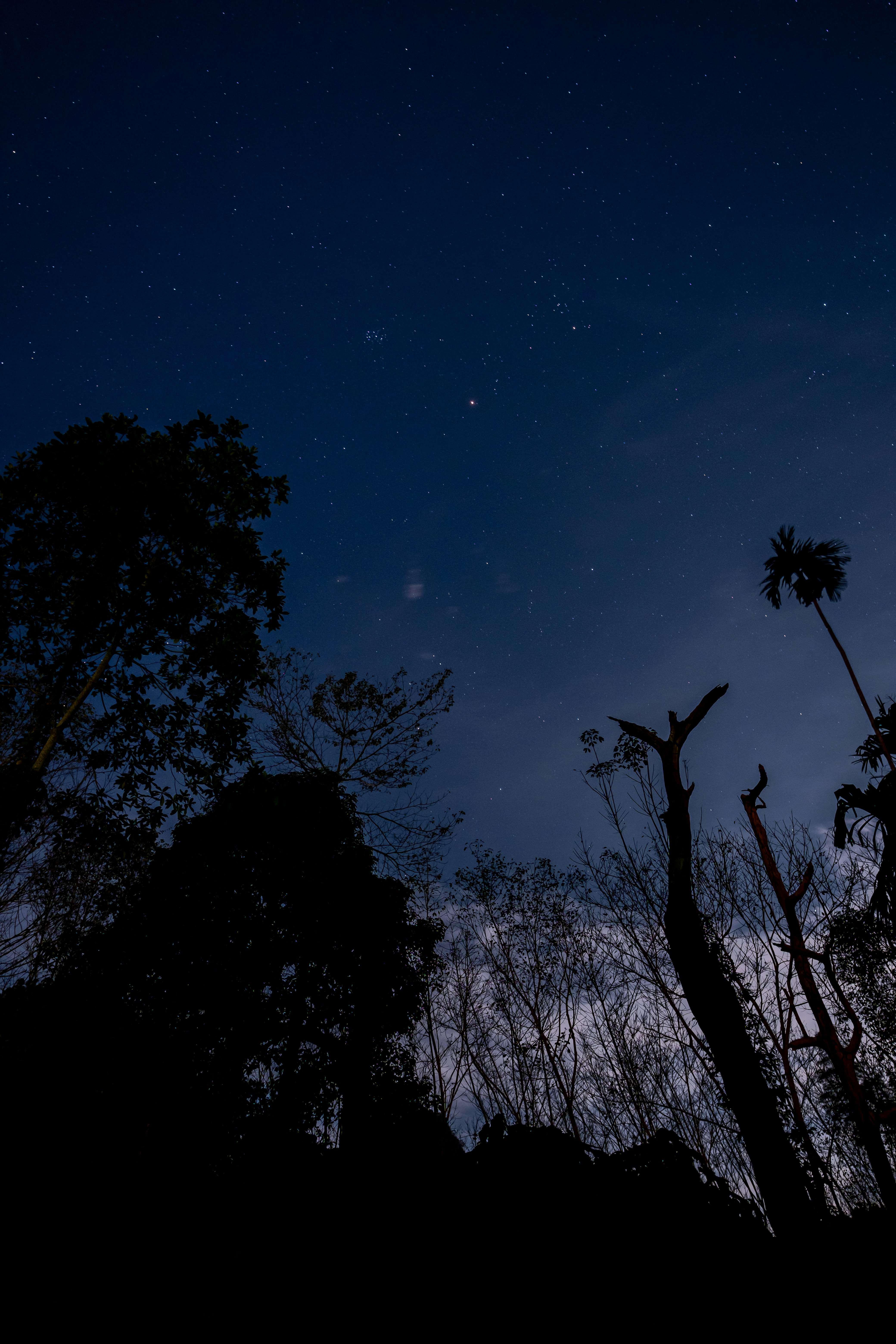 Photo by dagerotip