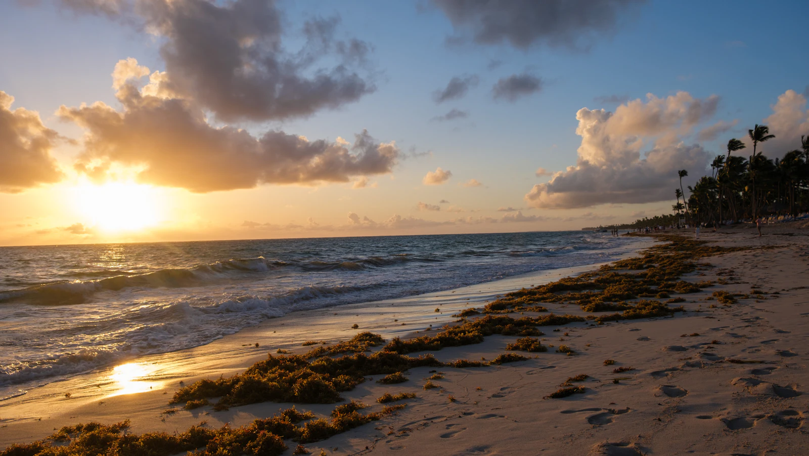 Sun setting over waves and a palm-lined beach on the eastern coast of the Dominican Republic