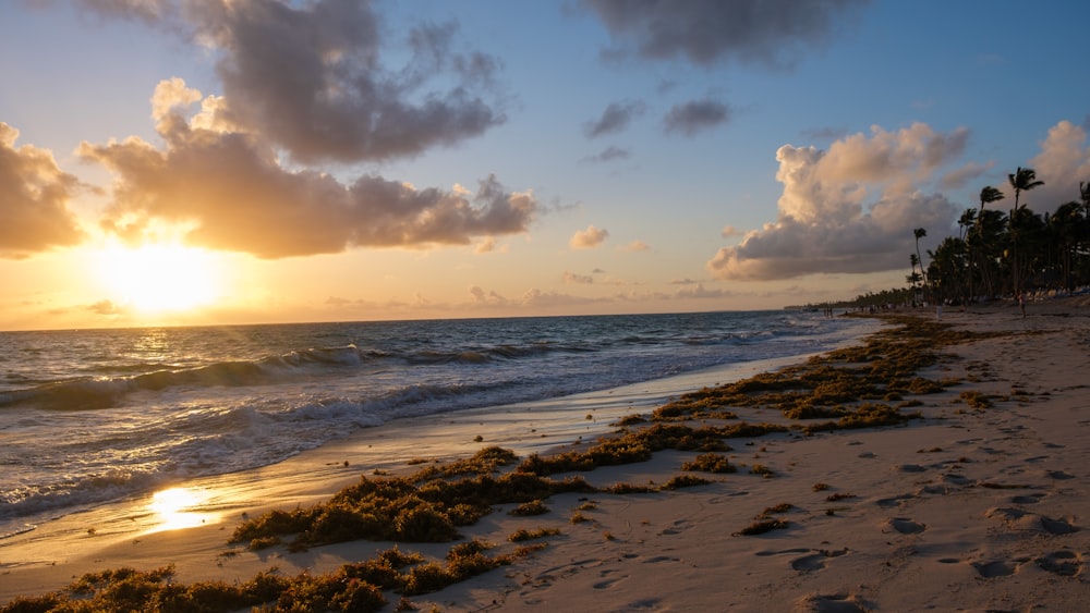 the sun is setting over the ocean on the beach