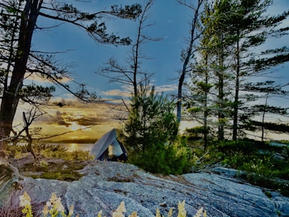 A cozy mountain campsite at sunset with tents and a campfire surrounded by pine trees.