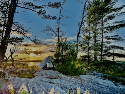A cozy campsite at sunset with a glowing campfire, tents pitched under tall pine trees, and mountains in the background.