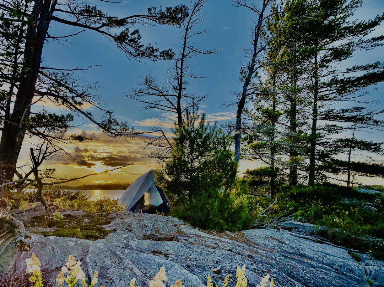 A cozy campsite at sunset with a glowing campfire, tents pitched under tall pine trees, and mountains in the background.