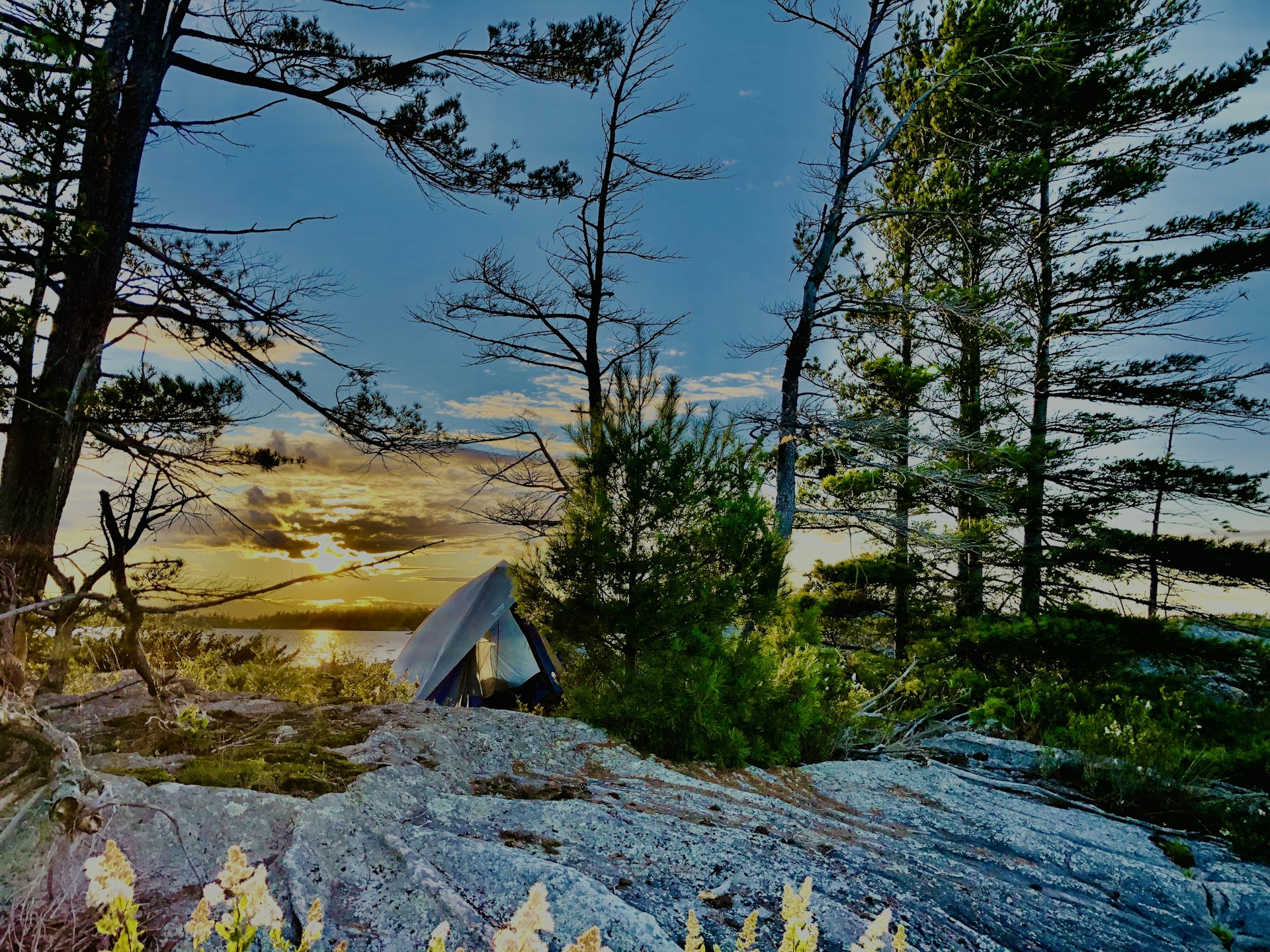 woman wearing yellow long-sleeved dress under white clouds and blue sky during daytime