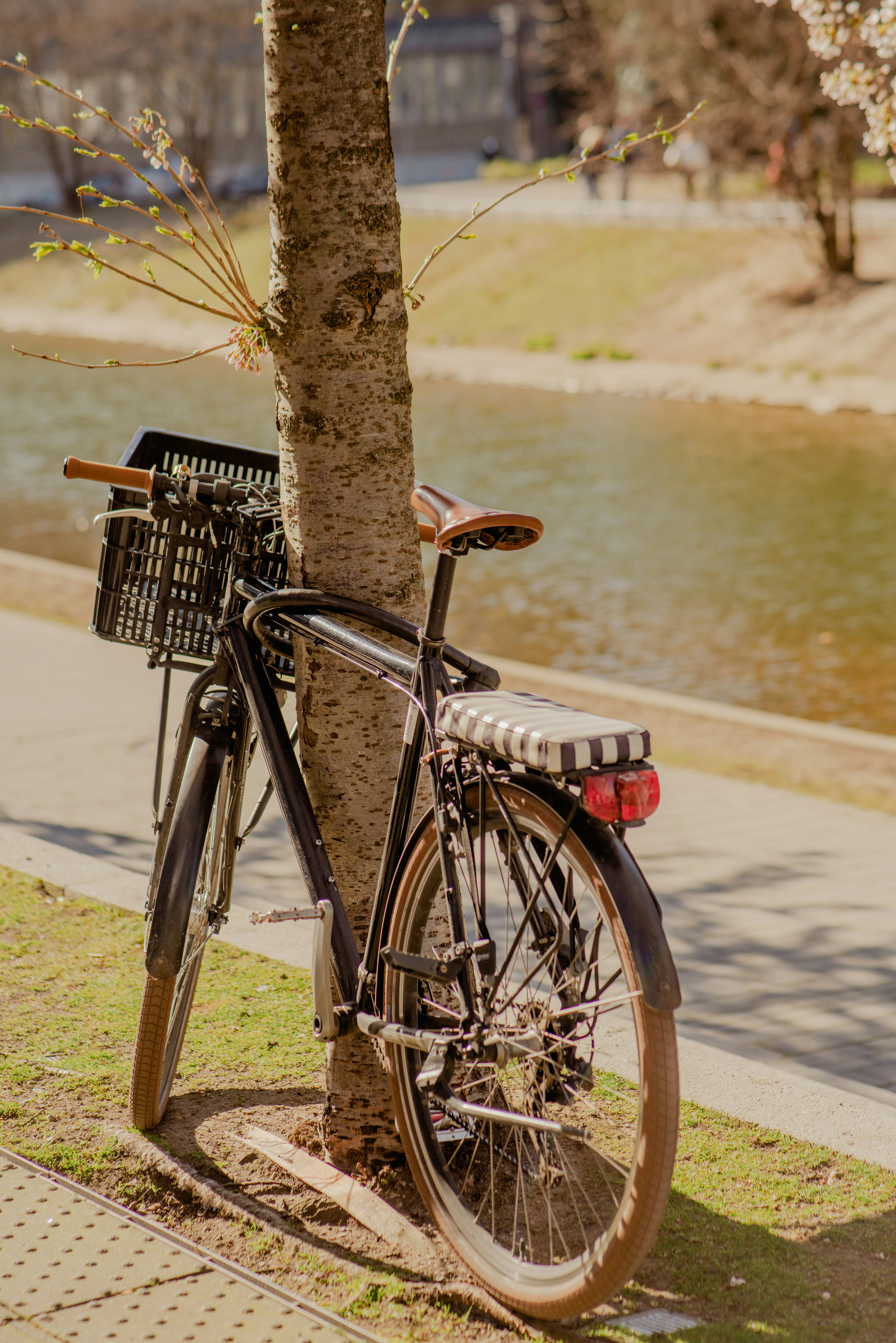 Photo by eugenivy_now