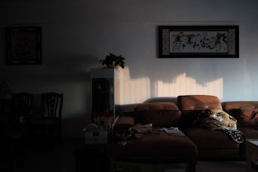 A dimly lit living room with a brown sectional sofa covered partly with a printed throw. The wall displays a framed piece of art with calligraphy, and a plant rests on a white cabinet next to the sofa. Shadows and warm sunlight create a soft contrast across the room.
